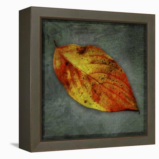 Dogwood Yellow-John W Golden-Framed Premier Image Canvas