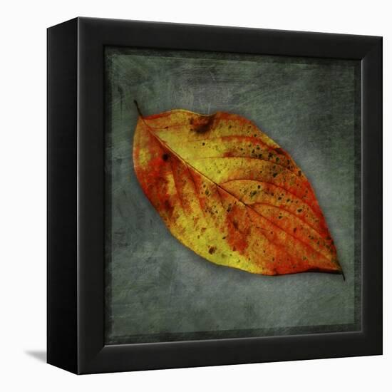 Dogwood Yellow-John W Golden-Framed Premier Image Canvas