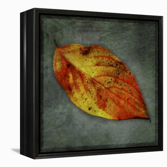 Dogwood Yellow-John W Golden-Framed Premier Image Canvas