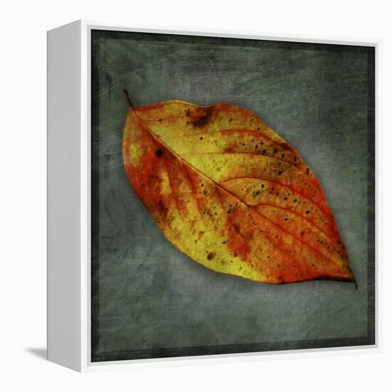 Dogwood Yellow-John W Golden-Framed Premier Image Canvas