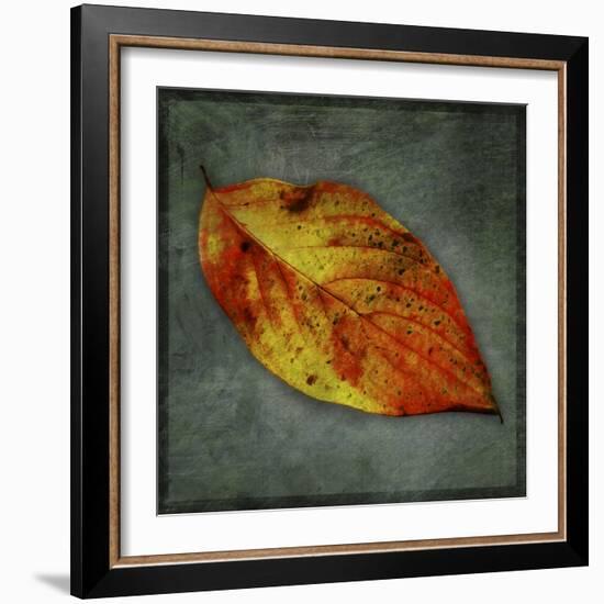 Dogwood Yellow-John W Golden-Framed Giclee Print