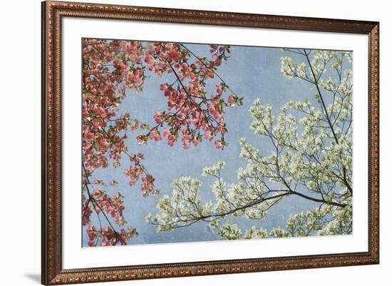 Dogwood-Donna Geissler-Framed Giclee Print