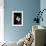 Dogwood-Jeff Pica-Framed Photographic Print displayed on a wall