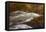 Dogwoods and Late Afternoon Light Reflected in Merced River-Vincent James-Framed Premier Image Canvas