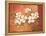 Dogwoods-Pamela Gladding-Framed Stretched Canvas