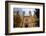 Dohany Street Synagogue, Budapest, Hungary, Europe-Carlo Morucchio-Framed Photographic Print