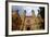 Dohany Street Synagogue, Budapest, Hungary, Europe-Carlo Morucchio-Framed Photographic Print