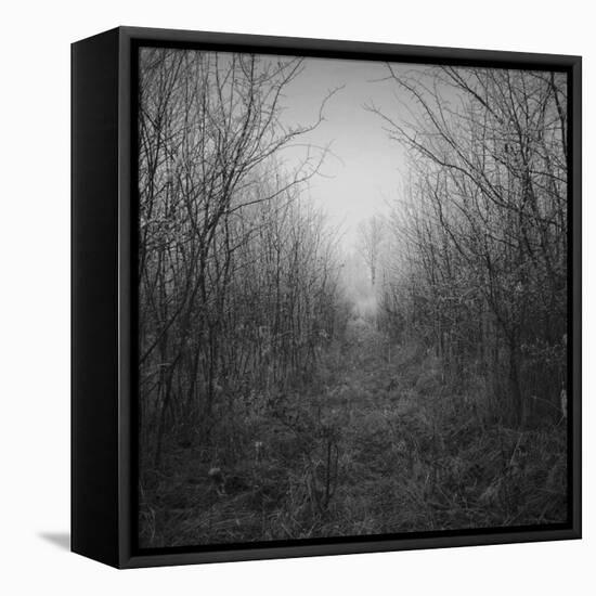 Dolazak-Tomislav Bogovic-Framed Premier Image Canvas