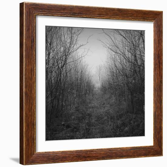 Dolazak-Tomislav Bogovic-Framed Photographic Print