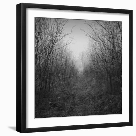 Dolazak-Tomislav Bogovic-Framed Photographic Print