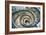 Dolce Vita Rome Collection - Spiral Staircase III-Philippe Hugonnard-Framed Photographic Print