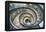 Dolce Vita Rome Collection - Spiral Staircase III-Philippe Hugonnard-Framed Premier Image Canvas