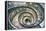 Dolce Vita Rome Collection - Spiral Staircase III-Philippe Hugonnard-Framed Premier Image Canvas