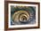 Dolce Vita Rome Collection - Spiral Staircase IV-Philippe Hugonnard-Framed Photographic Print