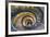 Dolce Vita Rome Collection - Spiral Staircase IV-Philippe Hugonnard-Framed Photographic Print