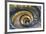 Dolce Vita Rome Collection - Spiral Staircase IV-Philippe Hugonnard-Framed Photographic Print