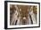 Dolce Vita Rome Collection - St. Peter Basilica-Philippe Hugonnard-Framed Photographic Print