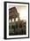 Dolce Vita Rome Collection - The Colosseum at Sunrise II-Philippe Hugonnard-Framed Photographic Print