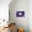 Dolce Vita Rome Collection - The Vatican Spiral Staircase Purple-Philippe Hugonnard-Photographic Print displayed on a wall