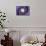 Dolce Vita Rome Collection - The Vatican Spiral Staircase Purple-Philippe Hugonnard-Framed Stretched Canvas displayed on a wall