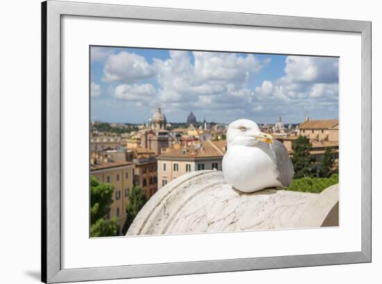 Dolce Vita Rome Collection - View of Seagull-Philippe Hugonnard-Framed Photographic Print