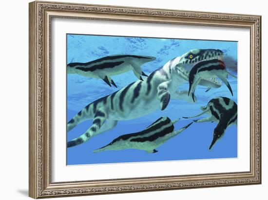 Dolichorhynchops Plesiosaurs Try to Evade a Dakosaurus Marine Reptile-Stocktrek Images-Framed Art Print