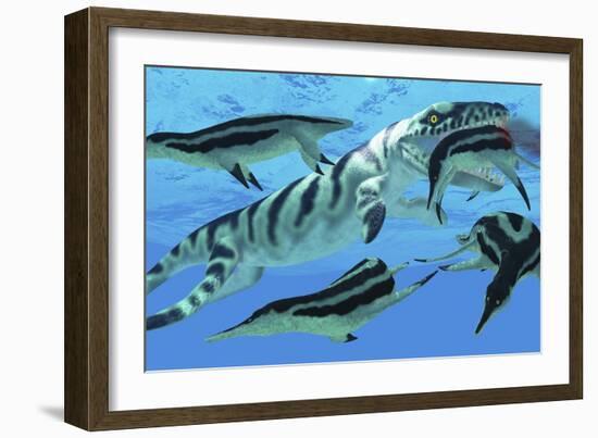 Dolichorhynchops Plesiosaurs Try to Evade a Dakosaurus Marine Reptile-Stocktrek Images-Framed Art Print