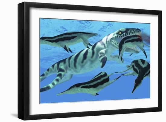 Dolichorhynchops Plesiosaurs Try to Evade a Dakosaurus Marine Reptile-Stocktrek Images-Framed Art Print