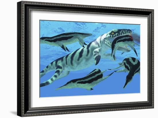 Dolichorhynchops Plesiosaurs Try to Evade a Dakosaurus Marine Reptile-Stocktrek Images-Framed Art Print