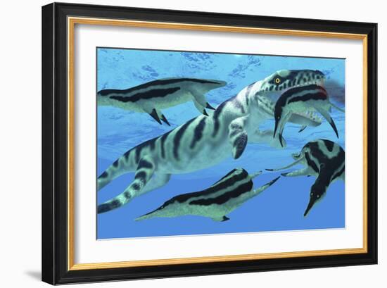 Dolichorhynchops Plesiosaurs Try to Evade a Dakosaurus Marine Reptile-Stocktrek Images-Framed Art Print