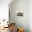 Doll's House Inside View of Kitchen and Other Rooms-null-Premium Photographic Print displayed on a wall