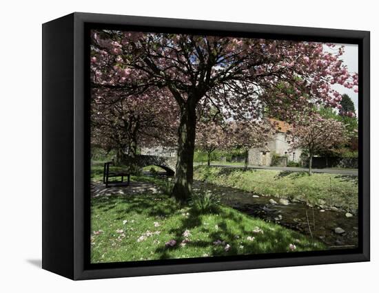 Dollar in Spring, Central Region, Scotland, United Kingdom-Kathy Collins-Framed Premier Image Canvas