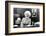 DOLLY PARTON. "NINE TO FIVE" [1980], directed by COLIN HIGGINS.-null-Framed Photographic Print