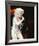 Dolly Parton-null-Framed Photo