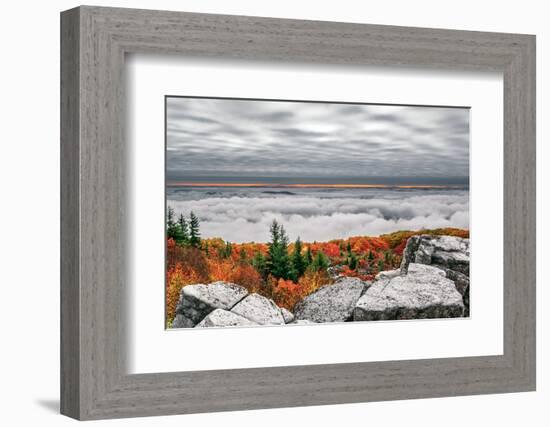 Dolly Sods Inversion-Steven Maxx-Framed Photographic Print
