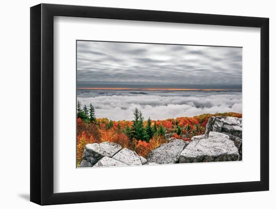 Dolly Sods Inversion-Steven Maxx-Framed Photographic Print