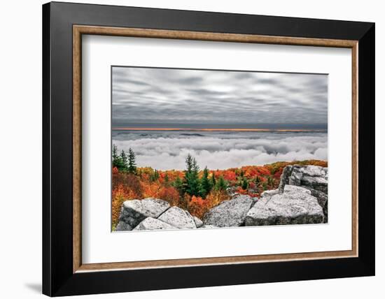 Dolly Sods Inversion-Steven Maxx-Framed Photographic Print