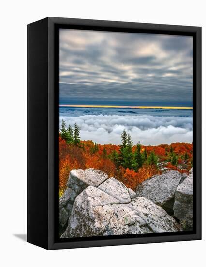 Dolly Sods Sunrise Inversion-Steven Maxx-Framed Premier Image Canvas