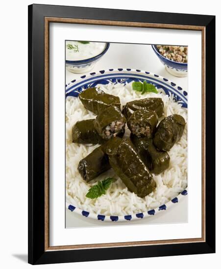 Dolma (Dolmades), Grape Leaves Stuffed with Meat and Rice, Turkey and Greece-Nico Tondini-Framed Photographic Print