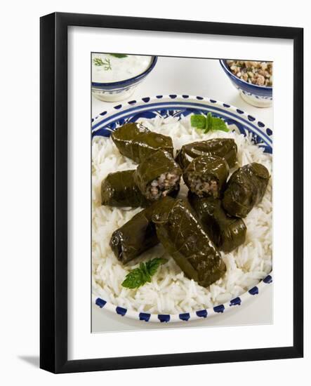 Dolma (Dolmades), Grape Leaves Stuffed with Meat and Rice, Turkey and Greece-Nico Tondini-Framed Photographic Print