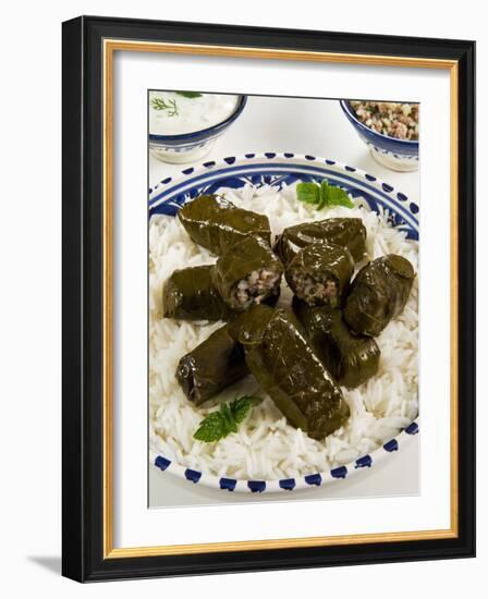 Dolma (Dolmades), Grape Leaves Stuffed with Meat and Rice, Turkey and Greece-Nico Tondini-Framed Photographic Print