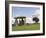 Dolmen, Neolithic Burial Chamber 4500 Years Old, Pentre Ifan, Pembrokeshire, Wales-Sheila Terry-Framed Photographic Print