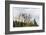 Dolomites, Italy, Region of Cortina Falzarego, Tofana-Frank Fleischmann-Framed Photographic Print