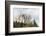 Dolomites, Italy, Region of Cortina Falzarego, Tofana-Frank Fleischmann-Framed Photographic Print