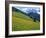 Dolomites Mountains and Wild Yellow Flowers, Villnoss / Val Di Funes, Trentino, Italy-Steve Vidler-Framed Photographic Print