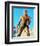 Dolph Lundgren - Masters of the Universe-null-Framed Photo