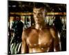 Dolph Lundgren - Red Scorpion-null-Mounted Photo