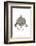 Dolphin - Animaru Cartoon Animal Print-Animaru-Framed Giclee Print