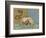 Dolphin - Arion Is Saved by a Dolphin-null-Framed Giclee Print