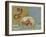 Dolphin - Arion Is Saved by a Dolphin-null-Framed Giclee Print